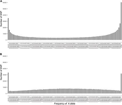 Detection of genomic regions that differentiate Bos indicus from Bos taurus ancestral breeds for milk yield in Indian crossbred cows